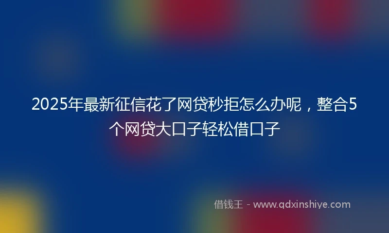 2025年最新征信花了网贷秒拒怎么办呢，整合5个网贷大口子轻松借口子