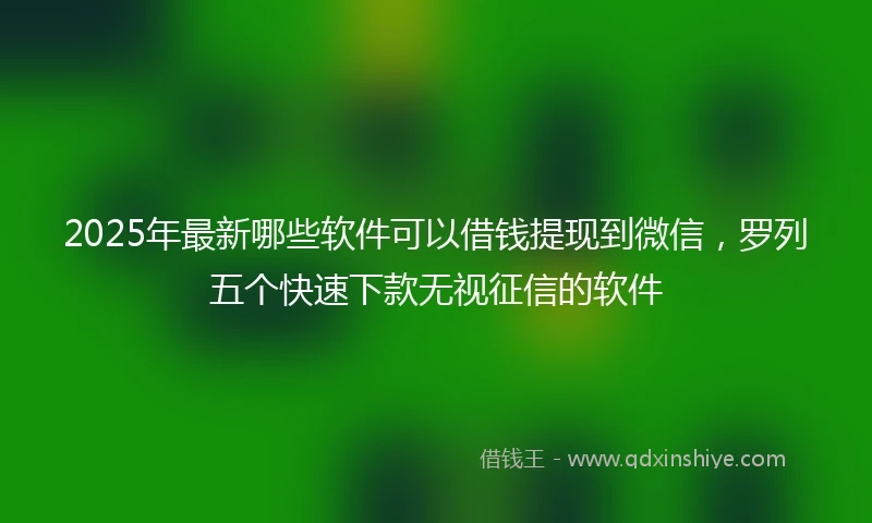 2025年最新哪些软件可以借钱提现到微信，罗列五个快速下款无视征信的软件