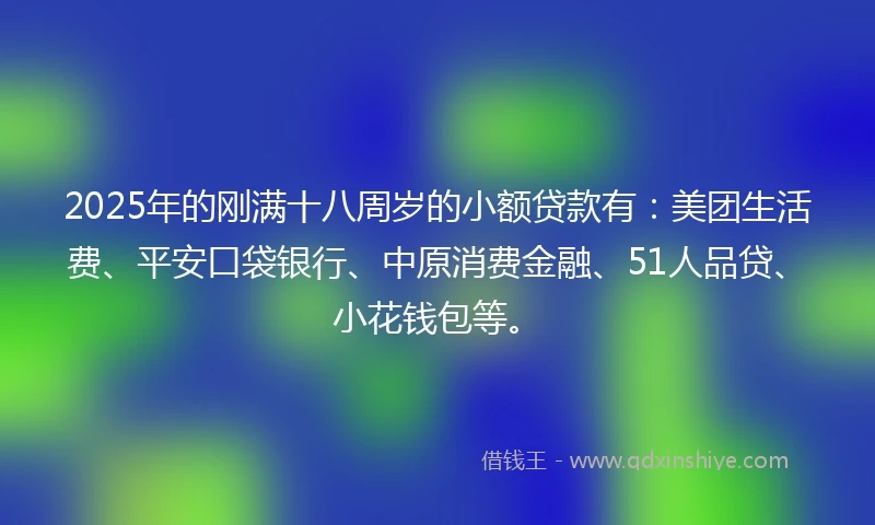 2025年的刚满十八周岁的小额贷款有：美团生活费、平安口袋银行、中原消费金融、51人品贷、小花钱包等。