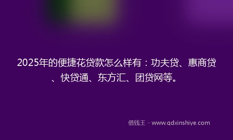 2025年的便捷花贷款怎么样有：功夫贷、惠商贷、快贷通、东方汇、团贷网等。