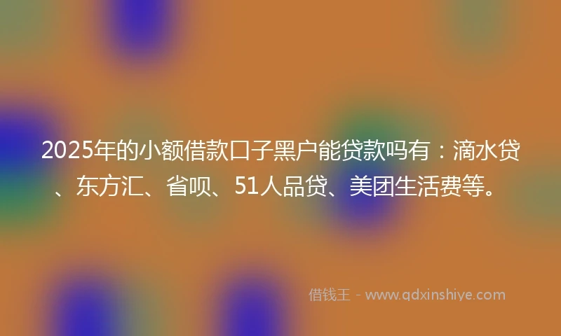 2025年的小额借款口子黑户能贷款吗有：滴水贷、东方汇、省呗、51人品贷、美团生活费等。