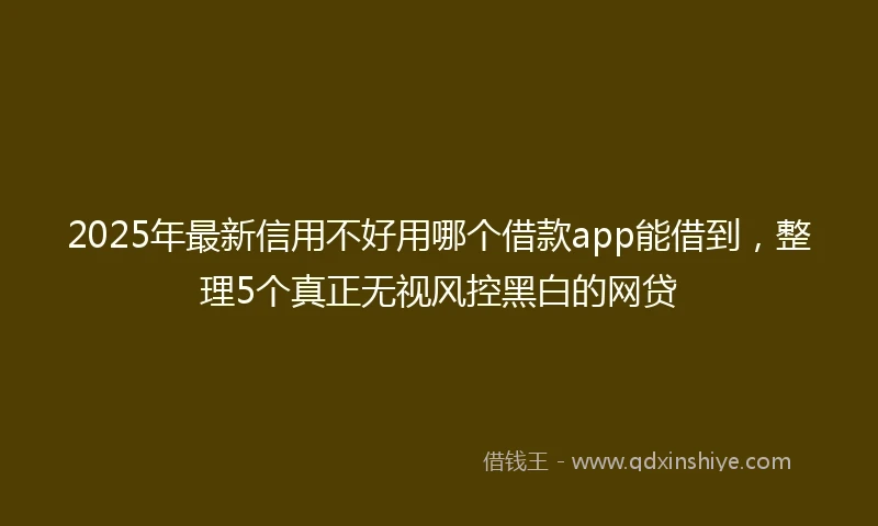 2025年最新信用不好用哪个借款app能借到，整理5个真正无视风控黑白的网贷