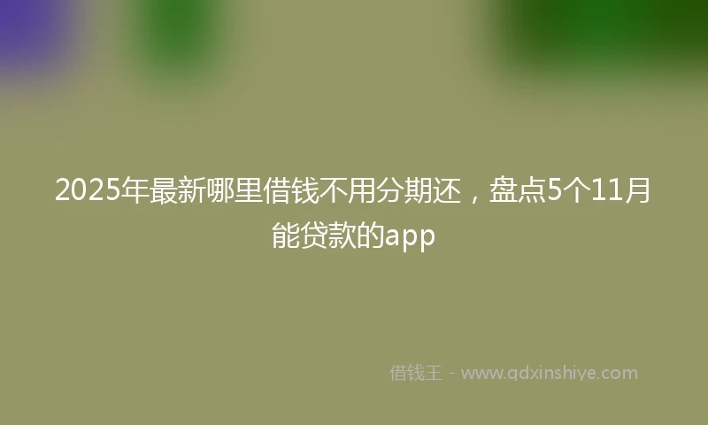 2025年最新哪里借钱不用分期还，盘点5个11月能贷款的app