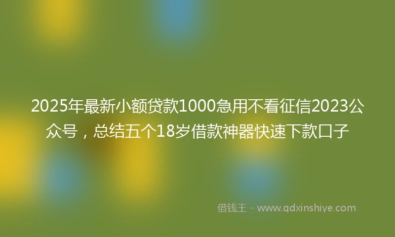 2025年最新小额贷款1000急用不看征信2023公众号，总结五个18岁借款神器快速下款口子