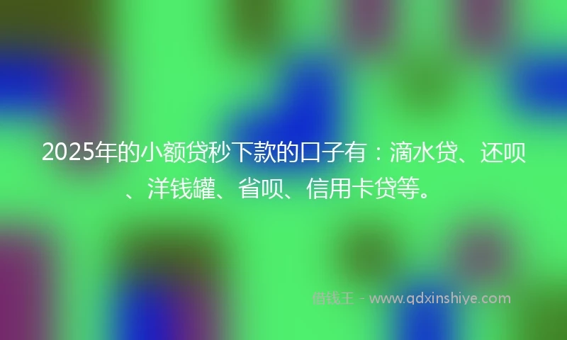 2025年的小额贷秒下款的口子有：滴水贷、还呗、洋钱罐、省呗、信用卡贷等。