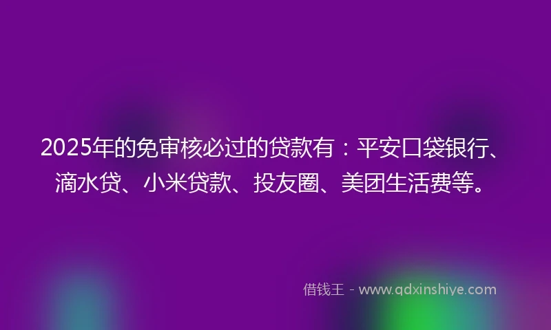 2025年的免审核必过的贷款有：平安口袋银行、滴水贷、小米贷款、投友圈、美团生活费等。