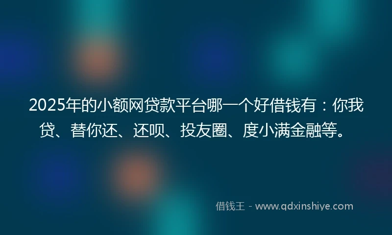 2025年的小额网贷款平台哪一个好借钱有：你我贷、替你还、还呗、投友圈、度小满金融等。