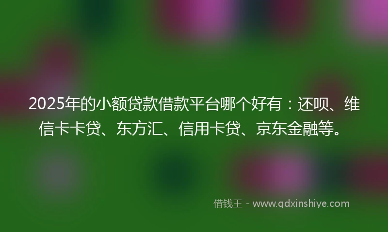 2025年的小额贷款借款平台哪个好有：还呗、维信卡卡贷、东方汇、信用卡贷、京东金融等。
