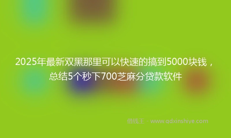 2025年最新双黑那里可以快速的搞到5000块钱，总结5个秒下700芝麻分贷款软件