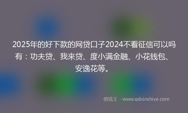 2025年的好下款的网贷口子2024不看征信可以吗有：功夫贷、我来贷、度小满金融、小花钱包、安逸花等。