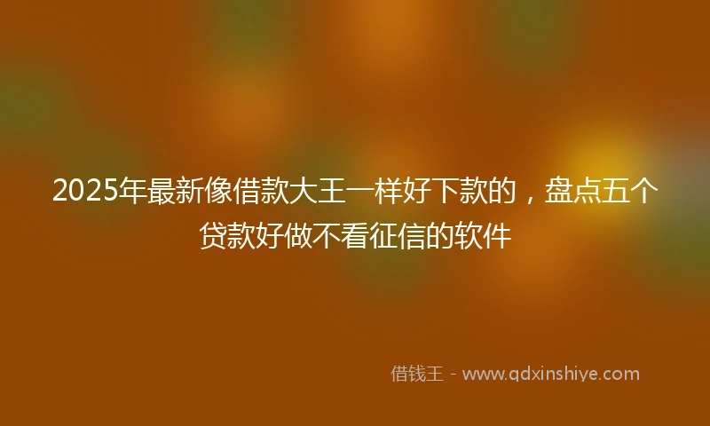 2025年最新像借款大王一样好下款的，盘点五个贷款好做不看征信的软件