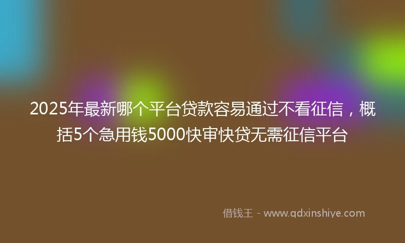 2025年最新哪个平台贷款容易通过不看征信，概括5个急用钱5000快审快贷无需征信平台