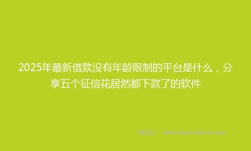 2025年最新借款没有年龄限制的平台是什么，分享五个征信花居然都下款了的软件