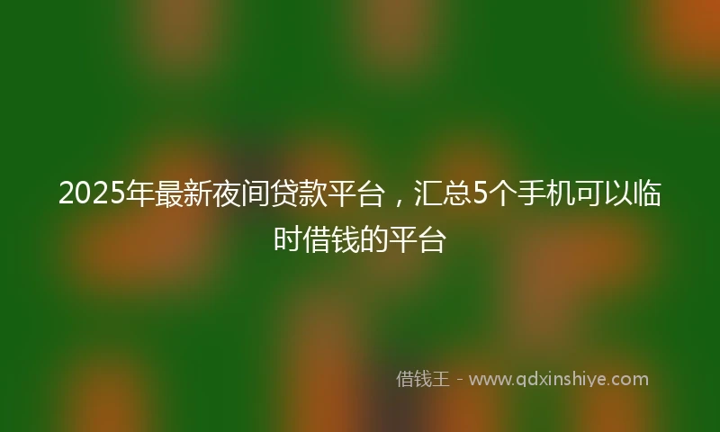 2025年最新夜间贷款平台，汇总5个手机可以临时借钱的平台