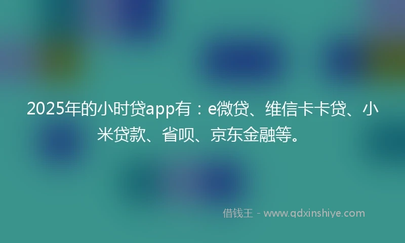 2025年的小时贷app有：e微贷、维信卡卡贷、小米贷款、省呗、京东金融等。