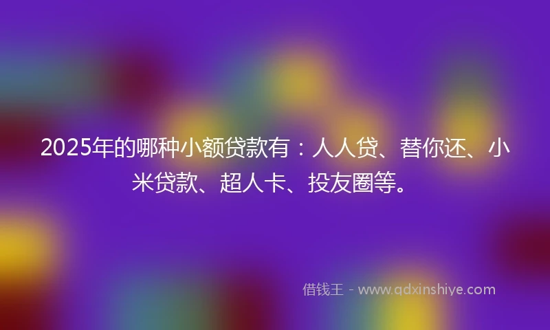 2025年的哪种小额贷款有：人人贷、替你还、小米贷款、超人卡、投友圈等。