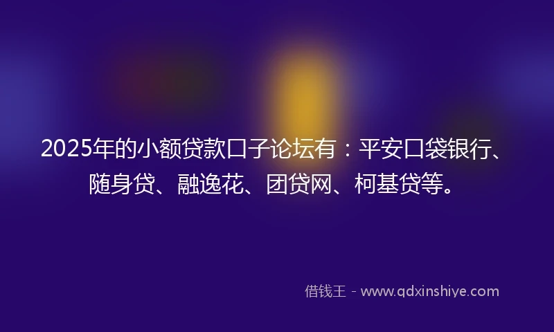 2025年的小额贷款口子论坛有：平安口袋银行、随身贷、融逸花、团贷网、柯基贷等。