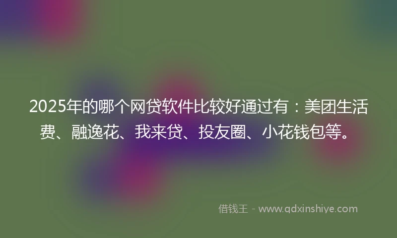2025年的哪个网贷软件比较好通过有：美团生活费、融逸花、我来贷、投友圈、小花钱包等。
