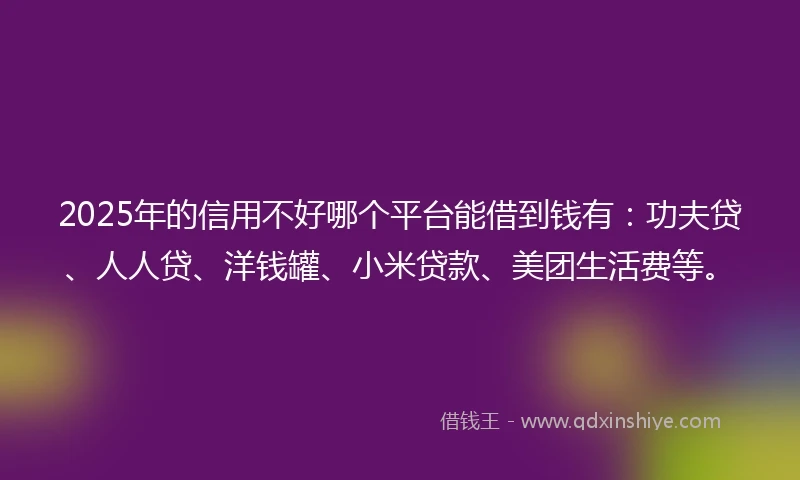 2025年的信用不好哪个平台能借到钱有：功夫贷、人人贷、洋钱罐、小米贷款、美团生活费等。