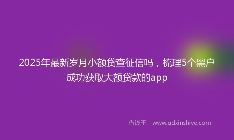 2025年最新岁月小额贷查征信吗，梳理5个黑户成功获取大额贷款的app