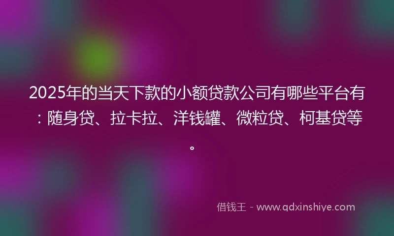 2025年的当天下款的小额贷款公司有哪些平台有：随身贷、拉卡拉、洋钱罐、微粒贷、柯基贷等。