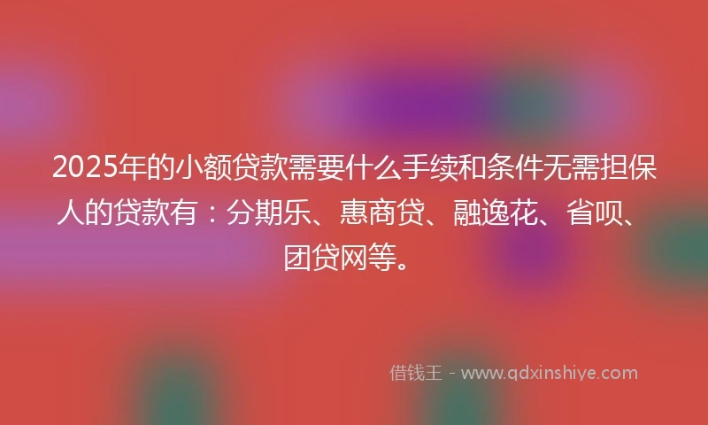 2025年的小额贷款需要什么手续和条件无需担保人的贷款有：分期乐、惠商贷、融逸花、省呗、团贷网等。