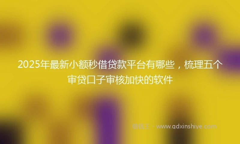 2025年最新小额秒借贷款平台有哪些，梳理五个审贷口子审核加快的软件