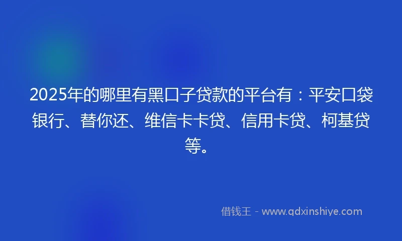 2025年的哪里有黑口子贷款的平台有：平安口袋银行、替你还、维信卡卡贷、信用卡贷、柯基贷等。