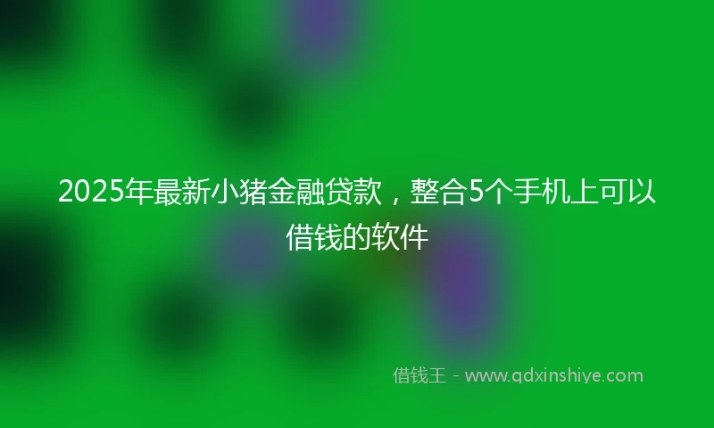 2025年最新小猪金融贷款，整合5个手机上可以借钱的软件