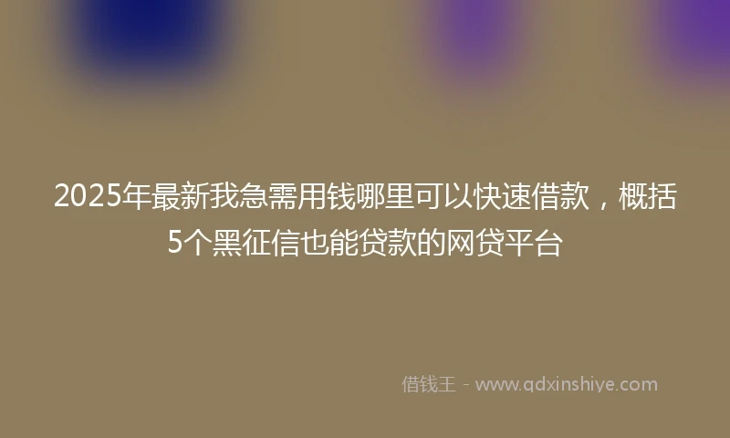 2025年最新我急需用钱哪里可以快速借款，概括5个黑征信也能贷款的网贷平台