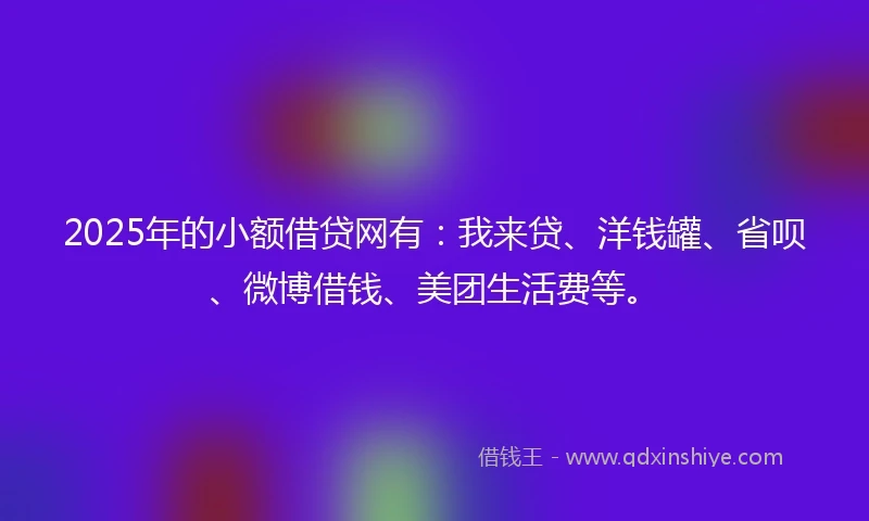 2025年的小额借贷网有：我来贷、洋钱罐、省呗、微博借钱、美团生活费等。