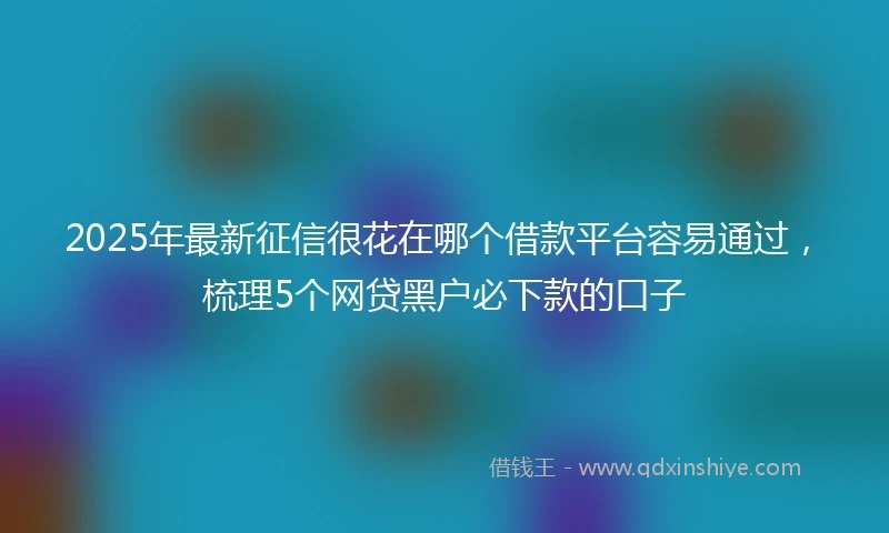 2025年最新征信很花在哪个借款平台容易通过，梳理5个网贷黑户必下款的口子