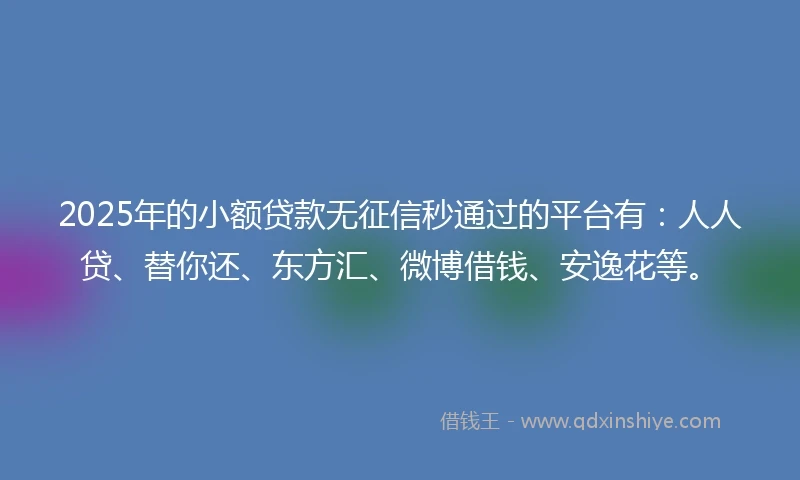 2025年的小额贷款无征信秒通过的平台有：人人贷、替你还、东方汇、微博借钱、安逸花等。