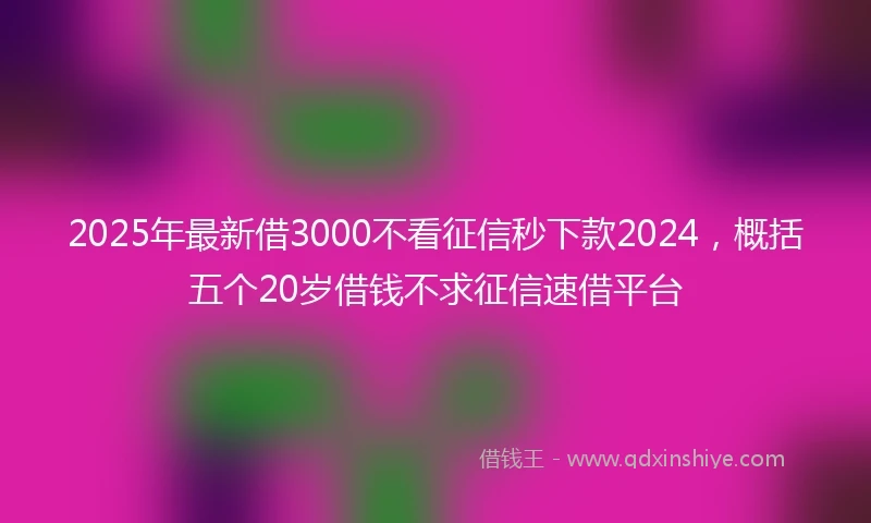 2025年最新借3000不看征信秒下款2024，概括五个20岁借钱不求征信速借平台