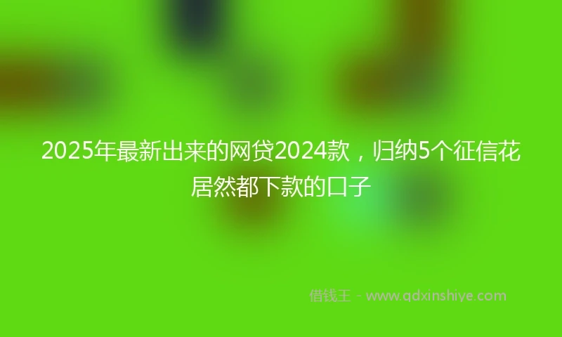 2025年最新出来的网贷2024款，归纳5个征信花居然都下款的口子
