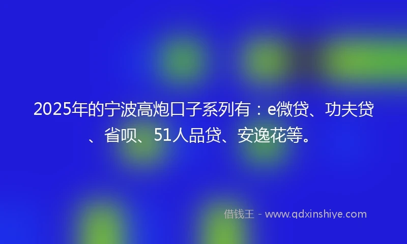 2025年的宁波高炮口子系列有：e微贷、功夫贷、省呗、51人品贷、安逸花等。
