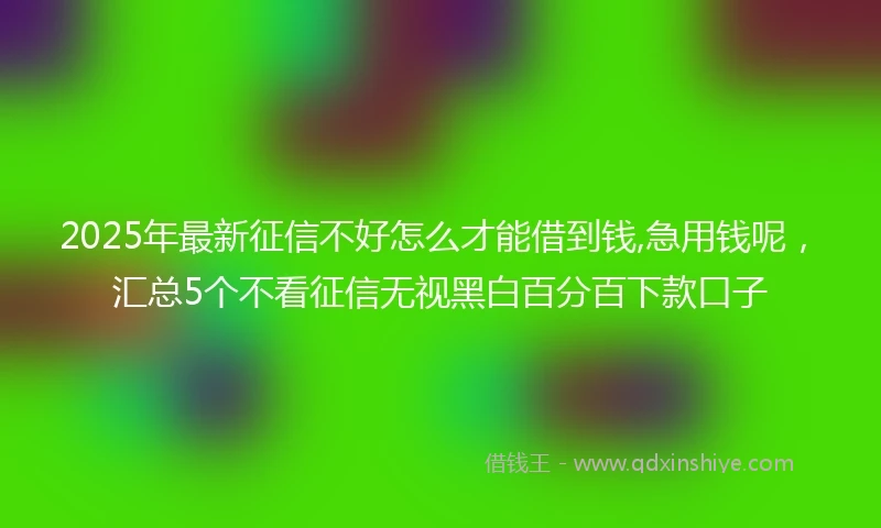 2025年最新征信不好怎么才能借到钱,急用钱呢，汇总5个不看征信无视黑白百分百下款口子