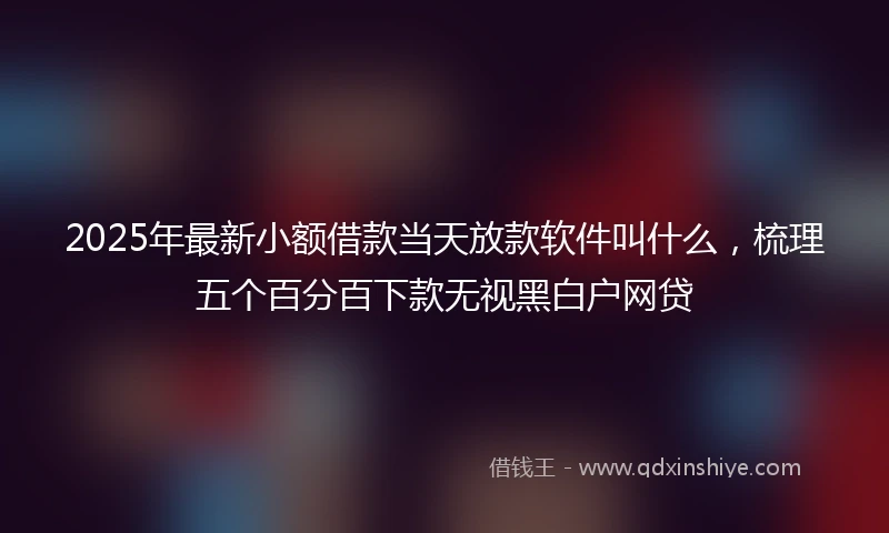 2025年最新小额借款当天放款软件叫什么，梳理五个百分百下款无视黑白户网贷