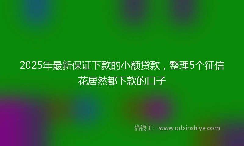 2025年最新保证下款的小额贷款，整理5个征信花居然都下款的口子