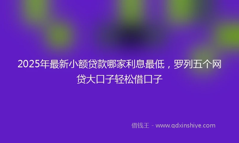 2025年最新小额贷款哪家利息最低，罗列五个网贷大口子轻松借口子