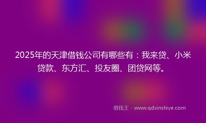 2025年的天津借钱公司有哪些有：我来贷、小米贷款、东方汇、投友圈、团贷网等。