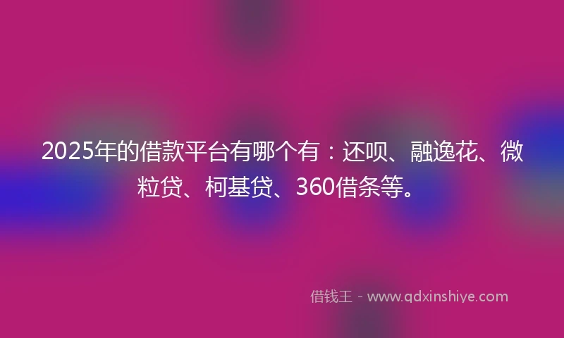 2025年的借款平台有哪个有：还呗、融逸花、微粒贷、柯基贷、360借条等。