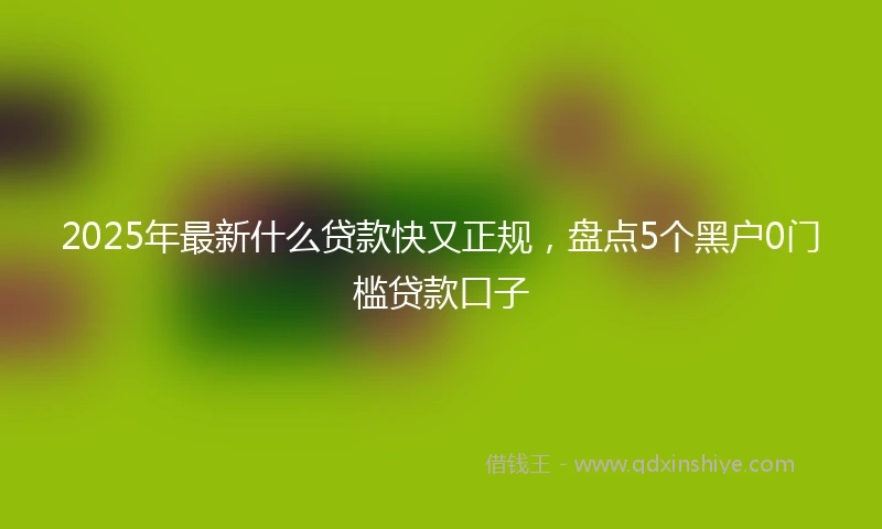 2025年最新什么贷款快又正规，盘点5个黑户0门槛贷款口子