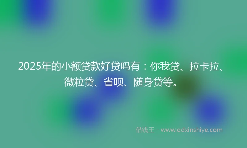2025年的小额贷款好贷吗有：你我贷、拉卡拉、微粒贷、省呗、随身贷等。
