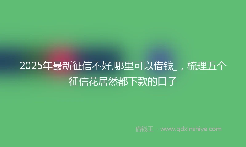 2025年最新征信不好,哪里可以借钱_，梳理五个征信花居然都下款的口子