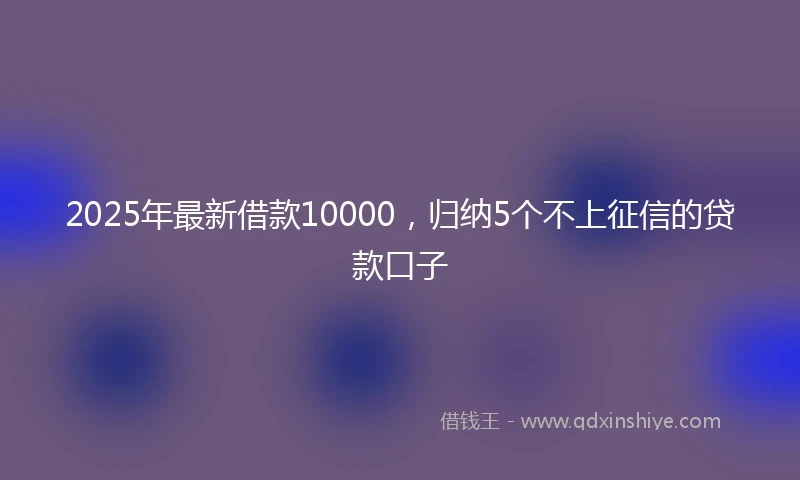 2025年最新借款10000，归纳5个不上征信的贷款口子
