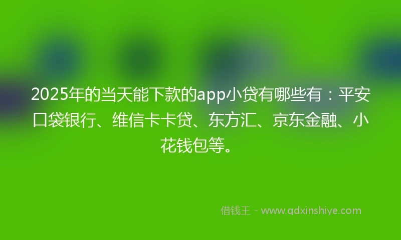 2025年的当天能下款的app小贷有哪些有：平安口袋银行、维信卡卡贷、东方汇、京东金融、小花钱包等。