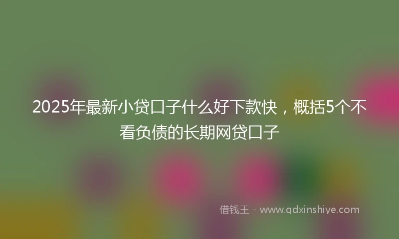 2025年最新小贷口子什么好下款快，概括5个不看负债的长期网贷口子