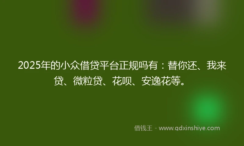 2025年的小众借贷平台正规吗有：替你还、我来贷、微粒贷、花呗、安逸花等。