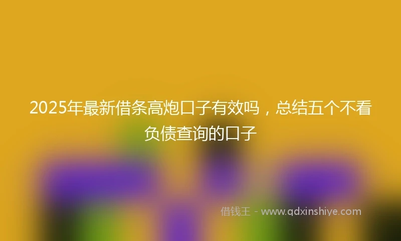 2025年最新借条高炮口子有效吗，总结五个不看负债查询的口子